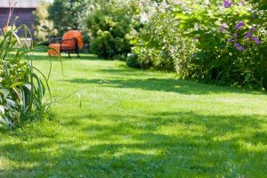 travaux jardin et paysage Contreuve